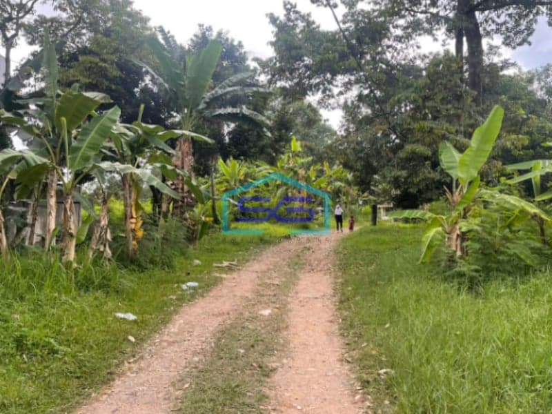 Dijual Tanah Luas Samping Punti Kayu Jalan Kolonel H Burlian Km 7 Palembang Luas 8900m2
