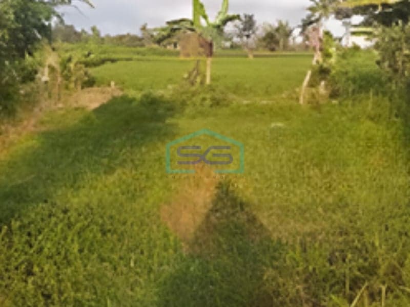 Disewakan Tanah Murah di Ubud Gianyar Bali Siap Bangun LT 2700m2