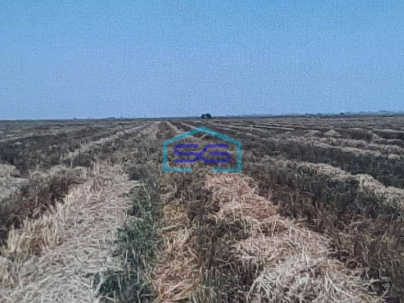 Dijual Tanah Di Pinggir Jalan Pantura Subang LT 14060m2