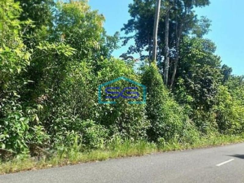 Dijual Tanah Kavling di Maratua Berau Kalimantan Timur Luas Tanah 3 Hektar