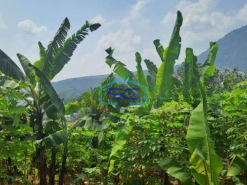 Dijual Tanah di Bojong Gaok di Desa Bojongkoneng Bogor