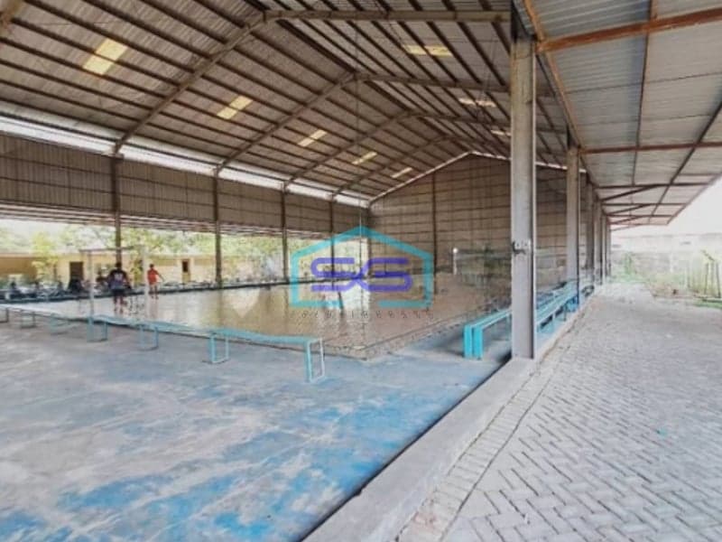 Dijual Tanah Bonus Gudang Luas Tanah 4991m2 Kapas Bojonegoro Jawa Timur