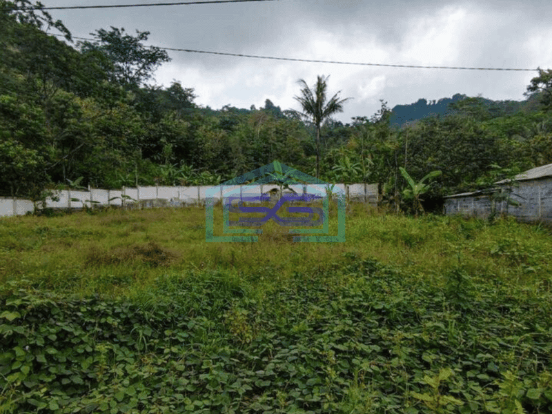 Dijual tanah di pageruyung kendal weleri sukorejo