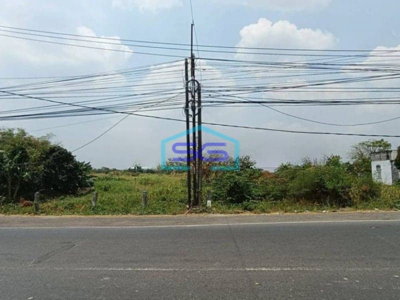 Dijual Tanah Paling Murah Di Jl Raya Cerme Gresik Dekat Tol  Cocok Untuk Pabrik Gudang LT 29000m2