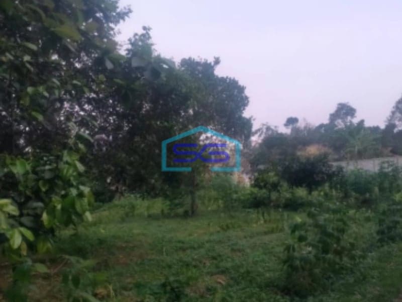 Dijual Tanah Cigombong Bogor Luas Tanah 12000m2 SHM