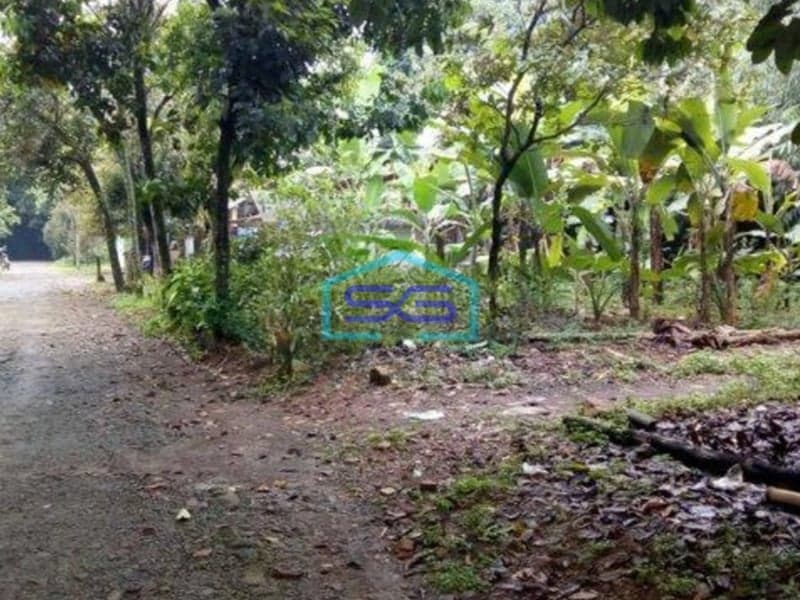 Dijual Tanah Murah Di Sawangan Depok