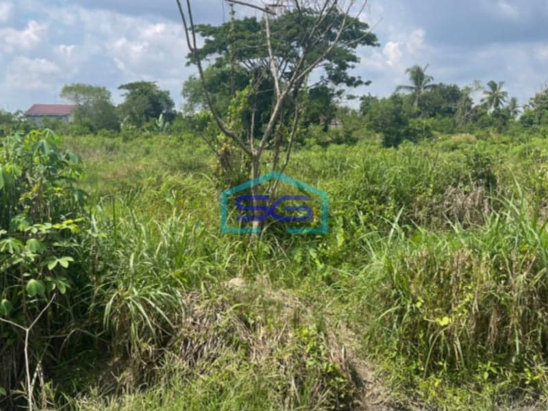 Dijual Tanah Jalan Talang Jambi Palembang Sumatera Selatan LT 7773m2