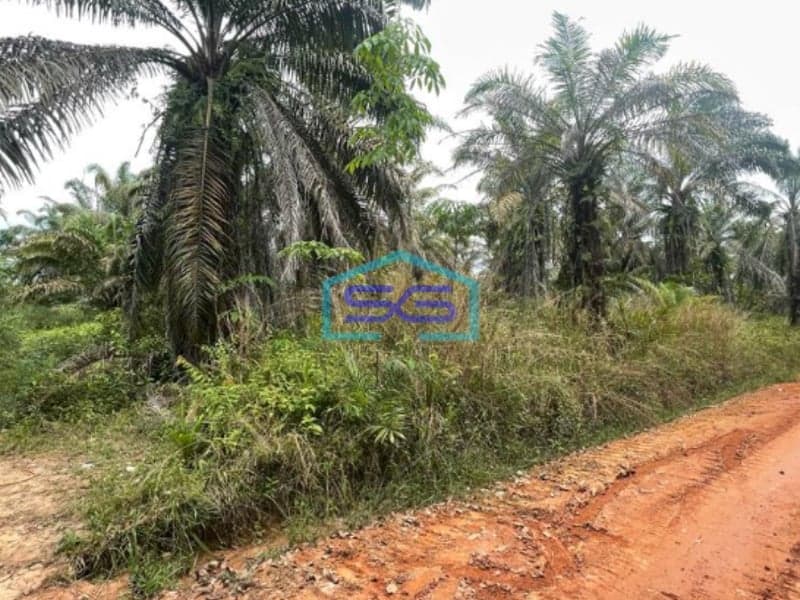 Dijual Tanah Lintas Sumatera Selatan Luas 90 HA di Kawasan Berkembang