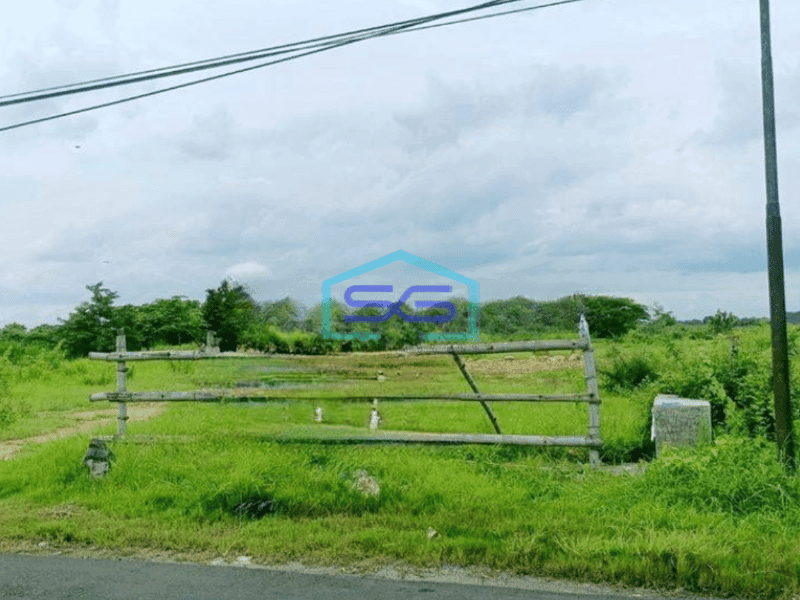 Dijual Tanah Murah Raya Benjeng Gresik Cocok Untuk Pabrik Gudang LT 10000m2