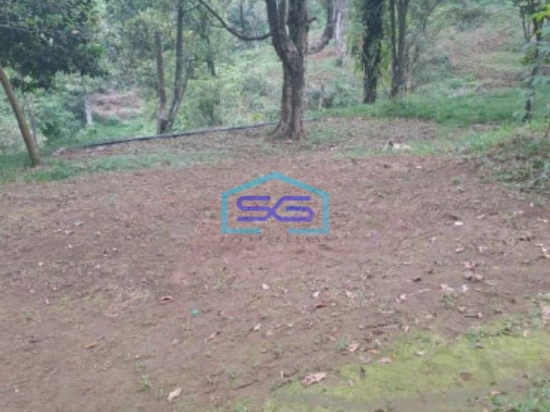 Dijual Tanah Lokasi Strategis Di Leuwiliang Bogor Luas 50000m2 Bebas Banjir