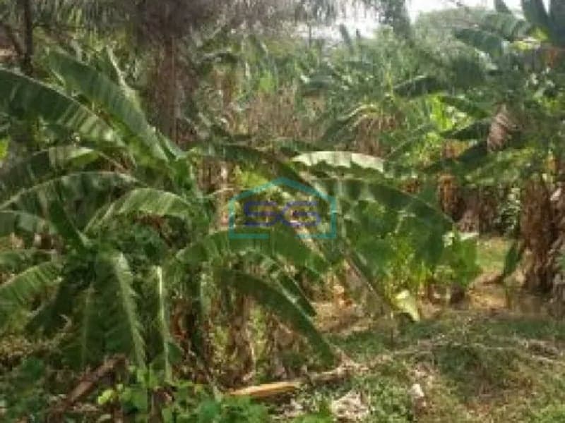 Dijual tanah di Petukangan utara jakarta selatan luas 16000m