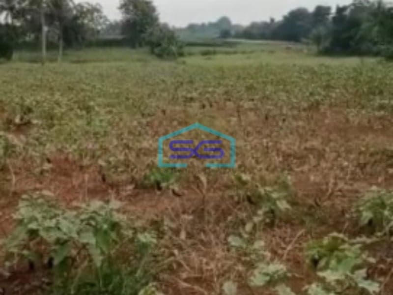 Dijual Tanah Di Jalan Raya Ciseeng Bogor Luas Tanah 50000m2