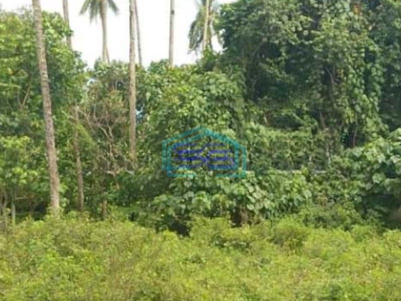 Dijual Tanah 16h Di Wusa Kawasan Wisata Alam Talawaan, Minahasa Utara Luas Tanah (PxL)  160000 m² (