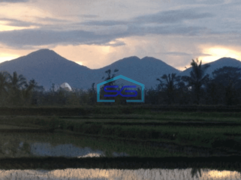 Dijual Tanah Rice Terace Ubud 4ha Cocok Untuk Hotel Dan Resort Di Gianyar