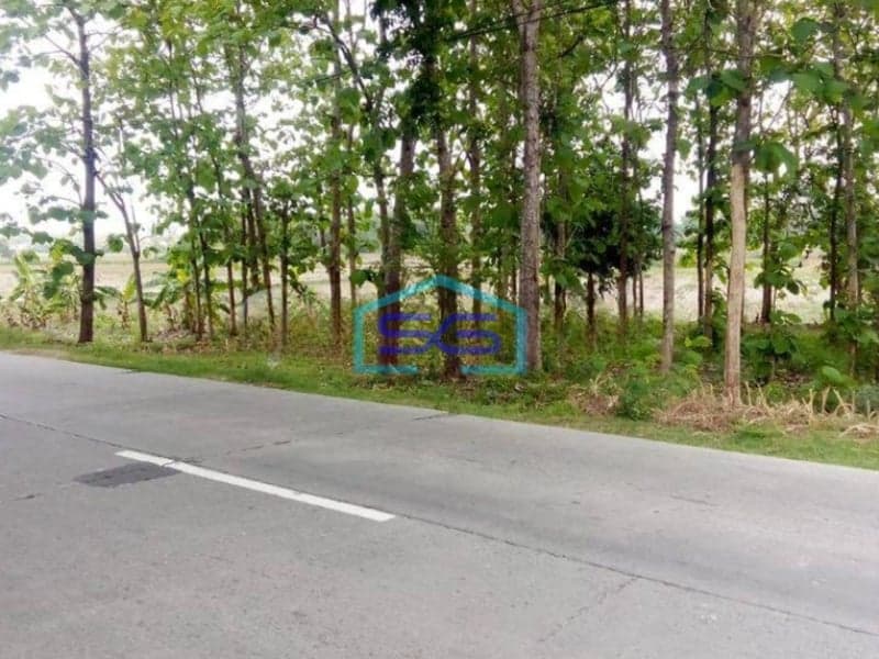 Dijual Tanah Industri Strategis di Ngaringan Grobogan LT 24000m2