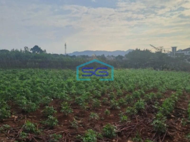 Dijual Tanah Karikhil Ciseeng Bogor Luas Tanah 1700m2 SHM