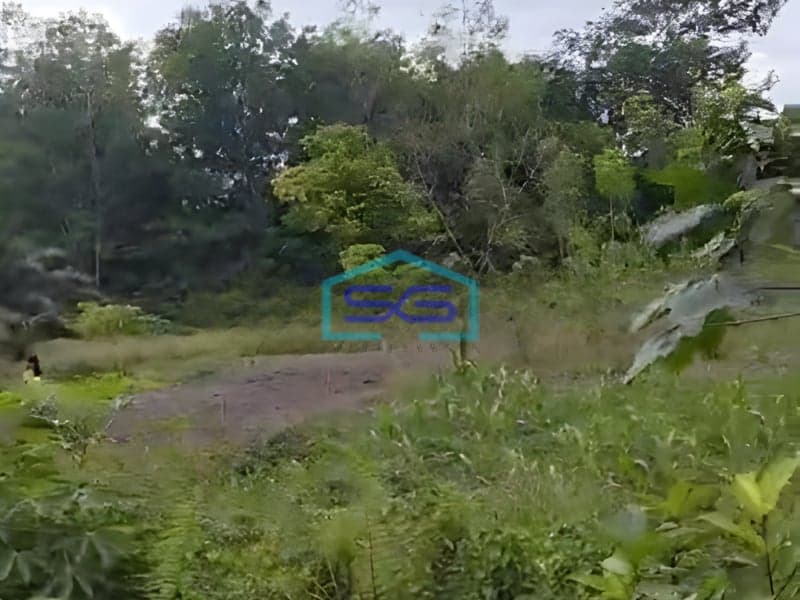 Dijual Luas Tanah 1 Hektar di Kandis Siak Riau Dekat ke Tol