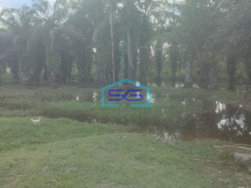 Dijual Tanah Luas 6,4 Ha di Bukit Baru Palembang Akses Dekat Tol