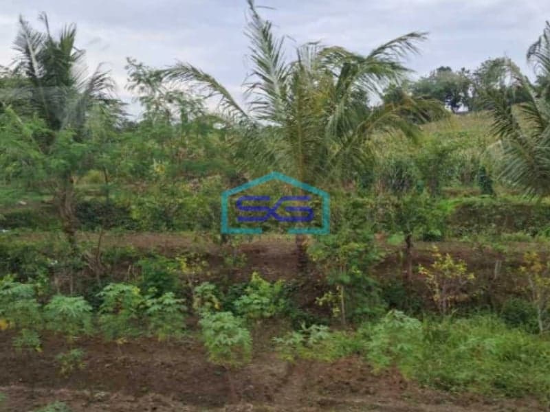 Dijual Tanah Murah Lokasi Elite Hook Setra Duta Bandung Utara LT 1400m2