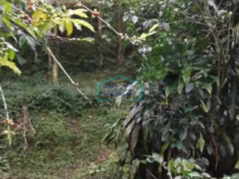 Dijual Tanah Lokasi Strategis di Bandung Jawa Barat