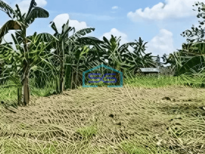 Dijual Tanah Jl Kota Gondok Luas 55000m2 di Kec Cijangkar Nyalindung Sukabumi Njop