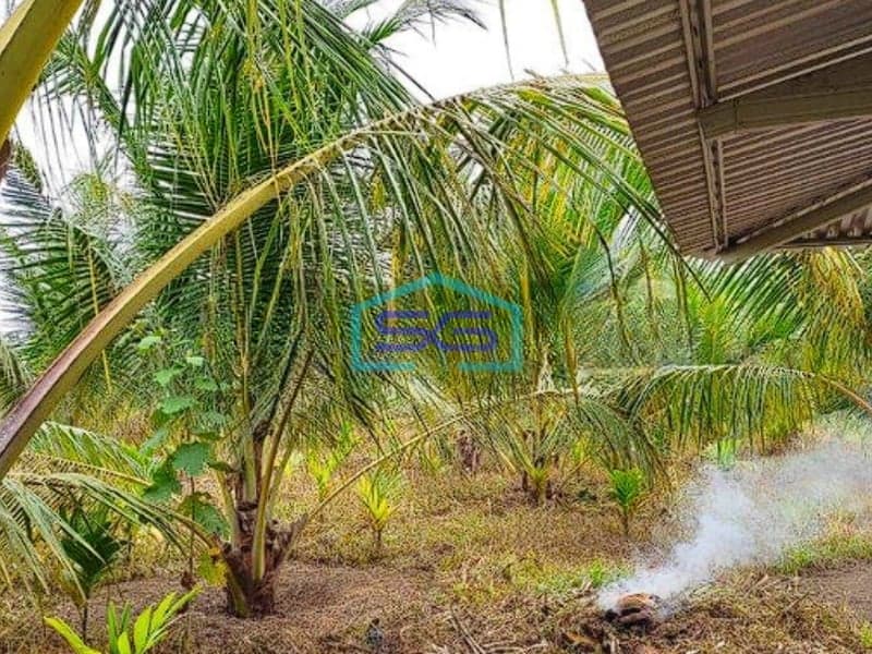 Dijual cepat Tanah 1,6 Hektar di Mendalo Darat, Muaro Jambi LT 162000m2