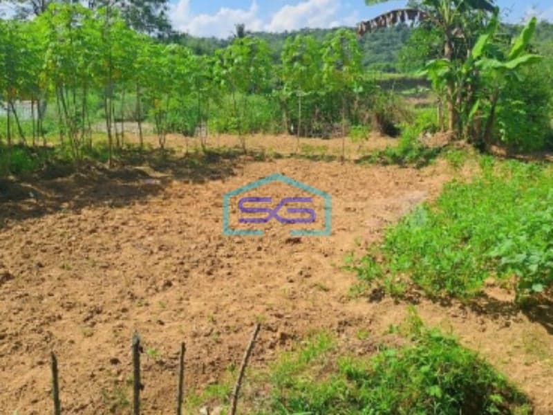 Dijual Tanah Letak Strategis Di Rumpin Bogor Luas Tanah 3500m2