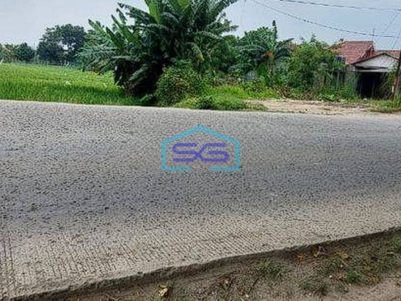 Dijual Tanah Posisi Strategis Jalan Utama Di Serang Cibarusah Cikarang LT 11000m2