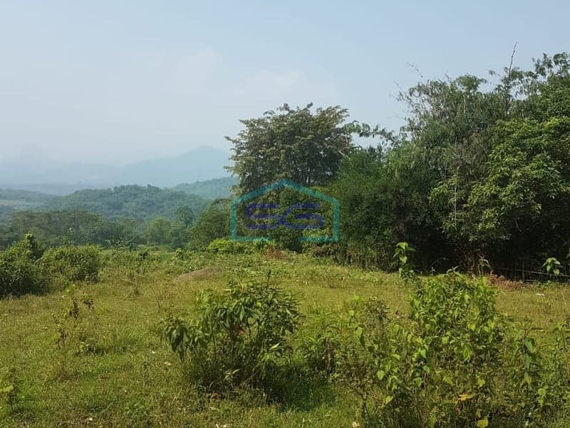 TANAH DIJUAL DI JONGGOL