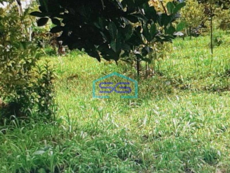 Dijual Tanah Di Tamansari Bogor LT 3735m2