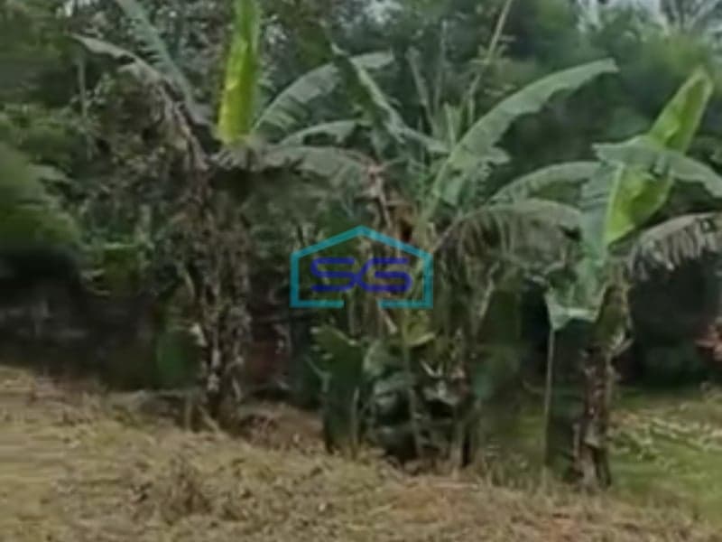 Dijual Tanah Di Caringin Bogor Dekat Exit Tol Caringin Luas Tanah 14500m2