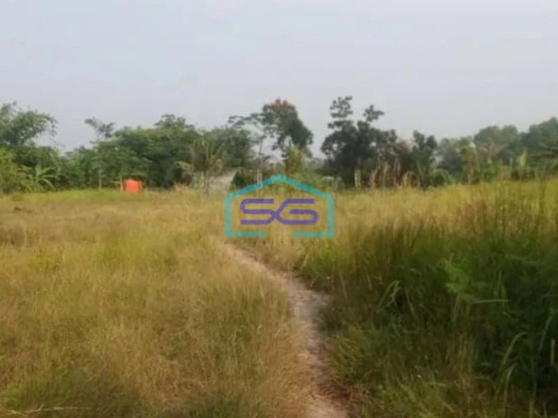 Dijual Tanah Dan Bangunan Gudang Di Jalan Raya Cikande Rangkas Bitung Banten LT 29207m2