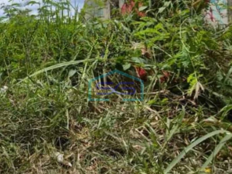 出售：勒戈克坦格朗万丹地区 87000 平方米无洪水地块