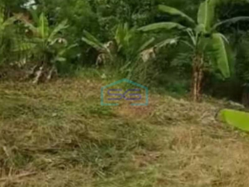 Dijual Tanah Lokasi Bagus di Cisauk Tangerang Luas 4000 m²