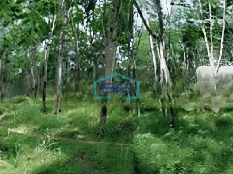 Dijual Tanah Luas 200 Ha Lokasi di Ciamis Jawa Barat