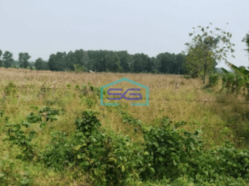 Dijual Tanah Di Kertajati Bersebelahan Dengan Kavling Gudang Garam dan Salim Group