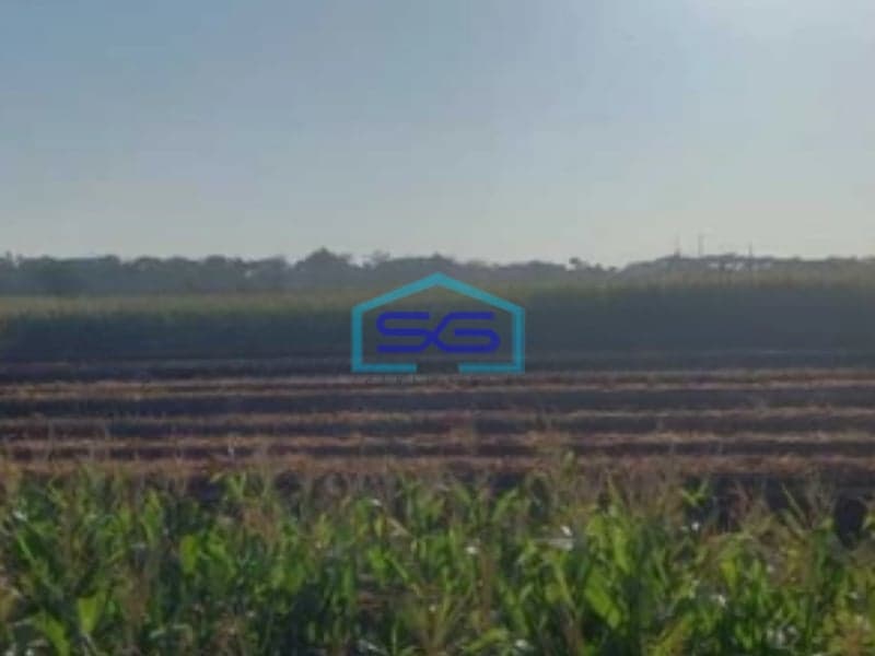 Dijual Lahan Tanah Zona Industri Lokasi Sumberlawang Sragen Jawa Tengah Luas Tanah 420000m2