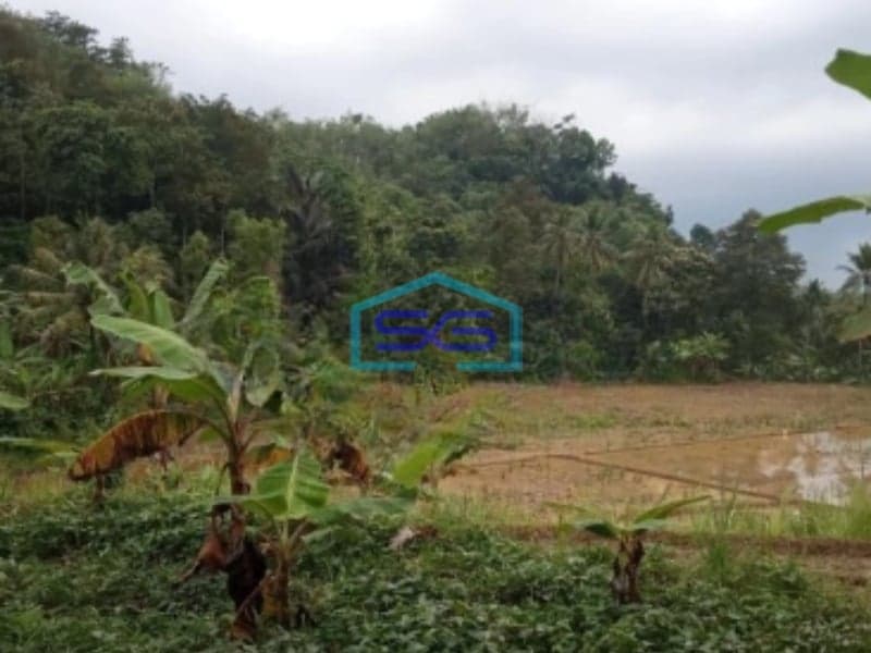 Dijual Tanah Luas 10334m2 SHM di Desa Cisolok Sukabumi Jawa Barat