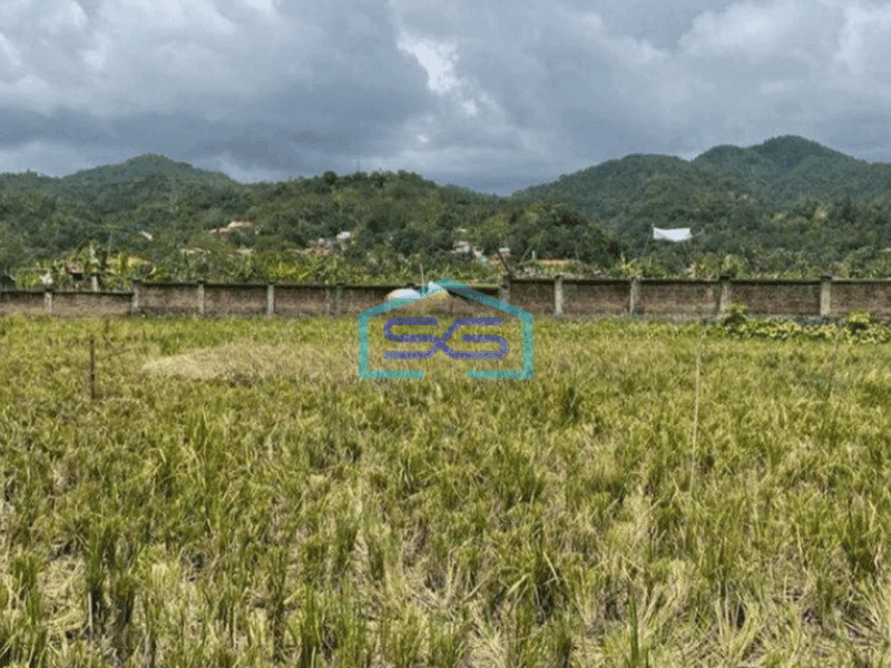 Dijual Tanah Bagus di Cisolok Pelabuhan Ratu Sukabumi Luas 2550m2