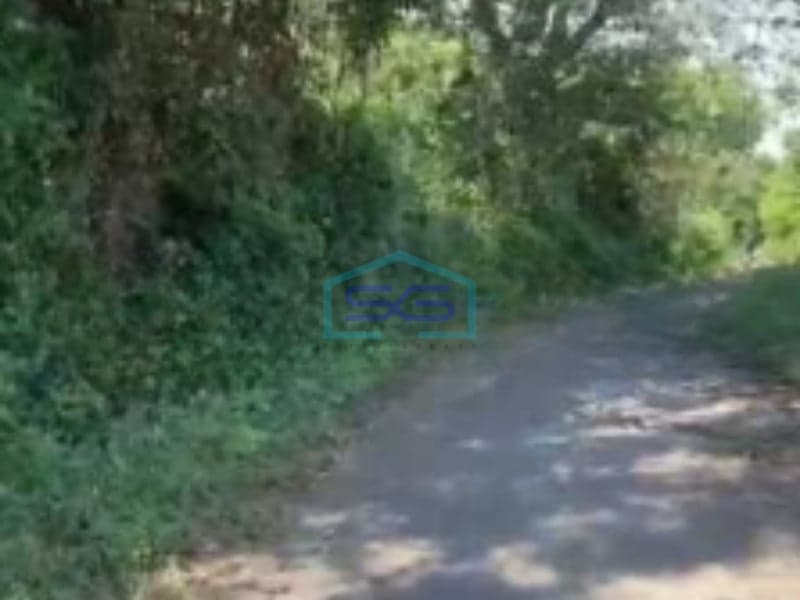 Dijual Tanah Luas Di Singaraja Buleleng Bali Luas Tanah 50000m2