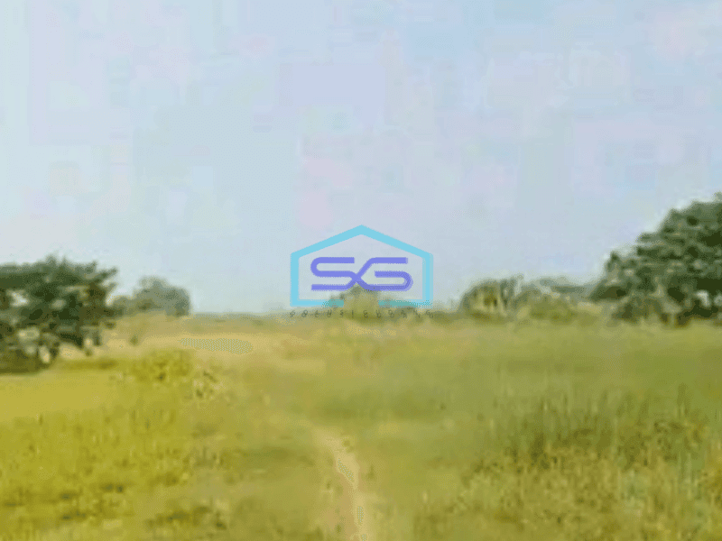 Dijual Tanah di Cikupa Tangerang Luas Tanah  55000 m² Bisa Akses Container 40 Feet