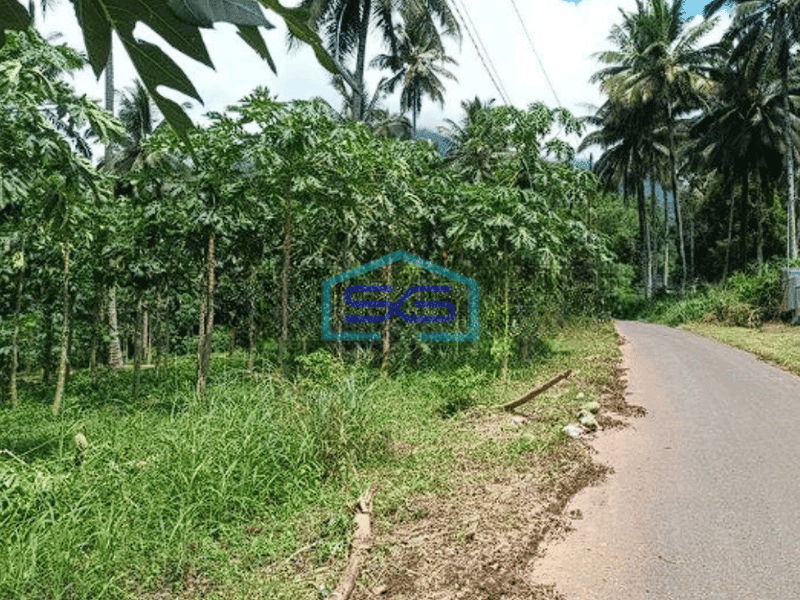 Dijual Tanah Luas 11 Ha Jl Raya Manado Bitung Desa Kaima Pas Buat Pergudangan