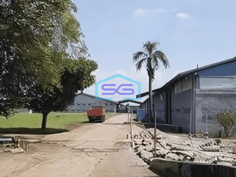 Disewa Gudang Bagus LB 6000 m² di Jl Ry Serang (exit Balaraja Barat) Tangerang