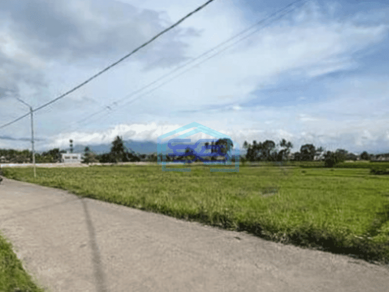 Dijual Tanah Kawasan Banyuresmi Jawa Barat Luas 3202m²