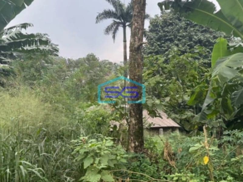 Dijual Tanah Murah Luas 3200 m² Lokasi Gunung Sindur Bogor