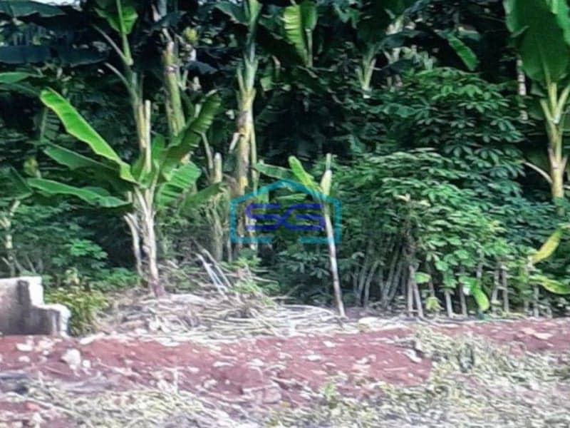 Dijual Tanah di Cilandak Timur Pasar Minggu Jakarta Selatan LT 5000m2