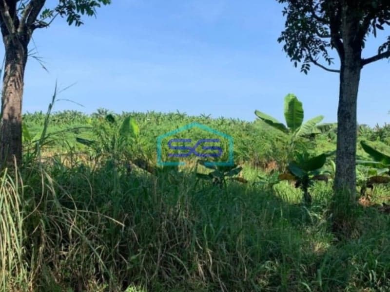 Dijual Tanah di Cilaku Cianjur Luas Tanah 270000m2