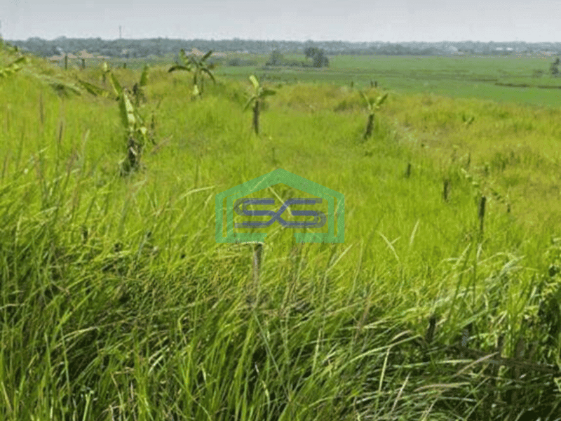 Dijual Tanah Untuk Gudang di Sirnajati Cibarusah Bekasi