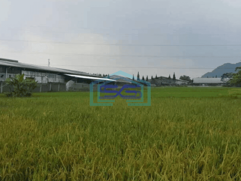 Dijual Tanah di Cimareme Bandung