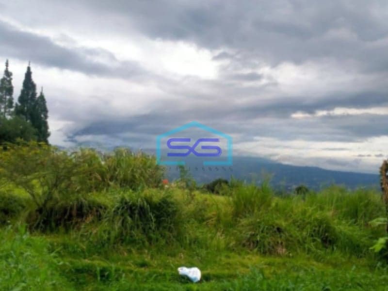 Dijual Tanah Desa Lembah Duhur Caringin Bogor Luas Tanah 8000m2